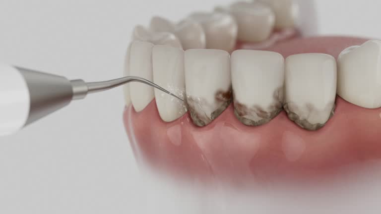 Reliable Dental contractor in Rankin, PA by Dentist Open Now